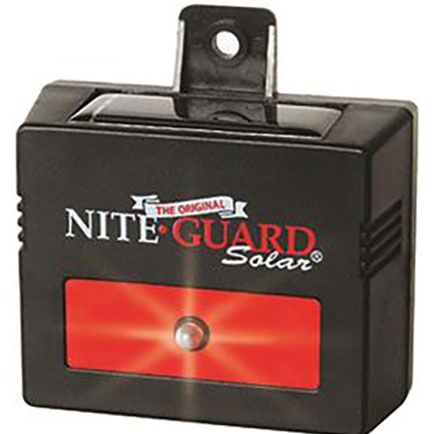 Nite Guard Predator Light