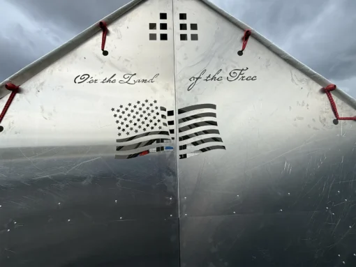 Chicken Ship 2 Back Panel