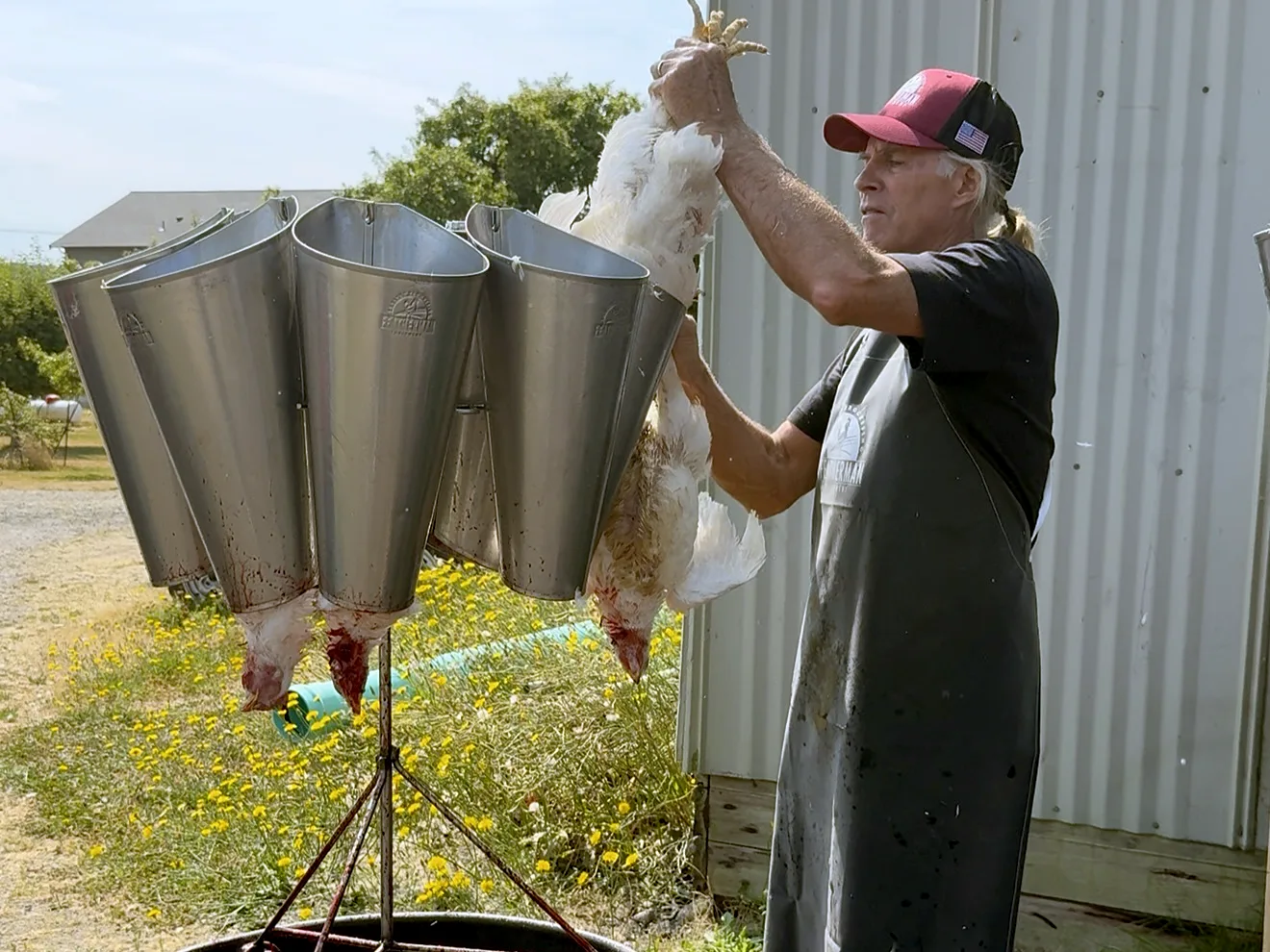 Featherman Broiler Kill Cones and Stand David Schafer Poultry Processing