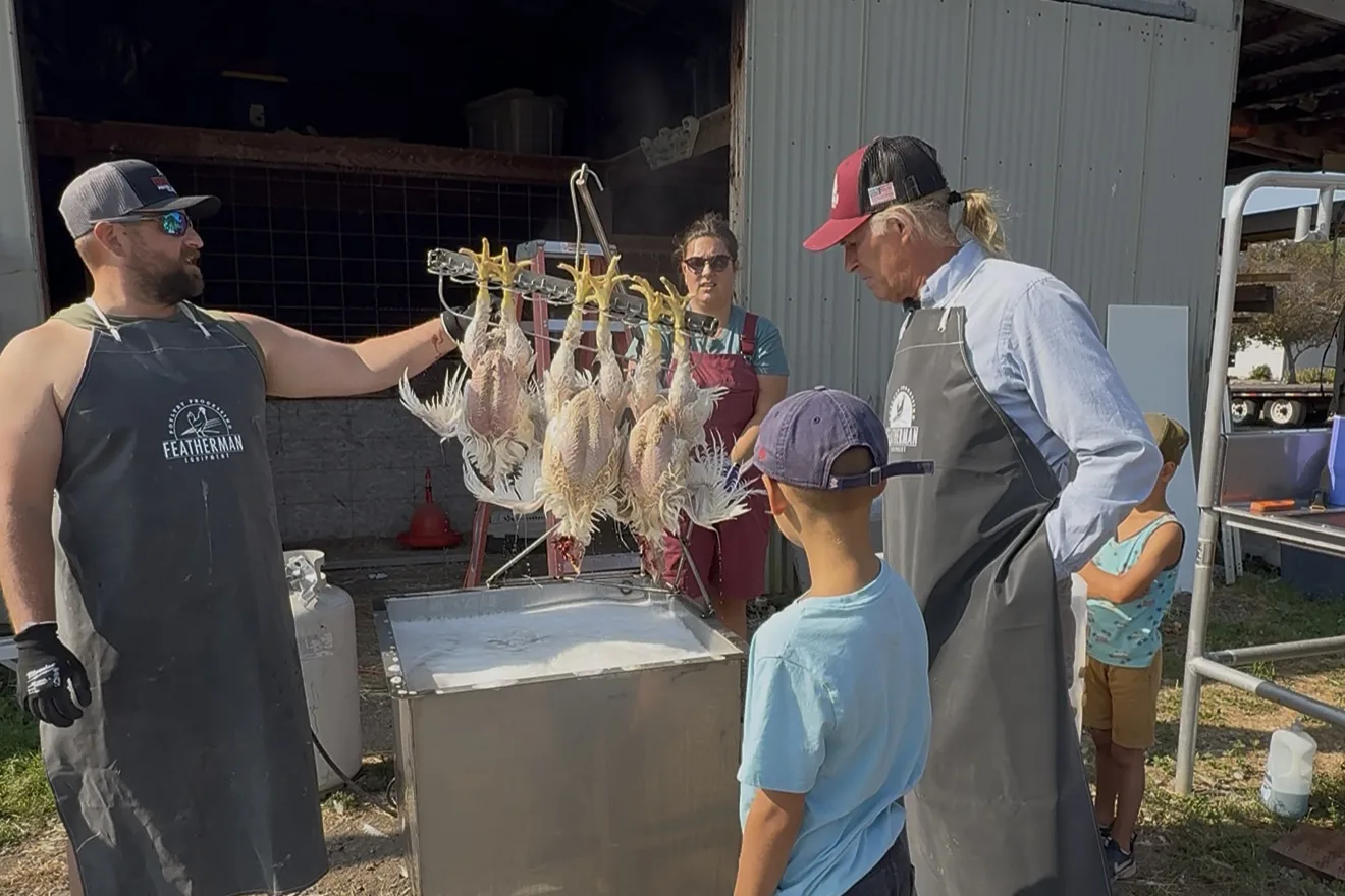 processing poultry at home david schafer family kids featherman equipment